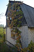 Дача (жилой дом) с пропиской - 150.000 р.